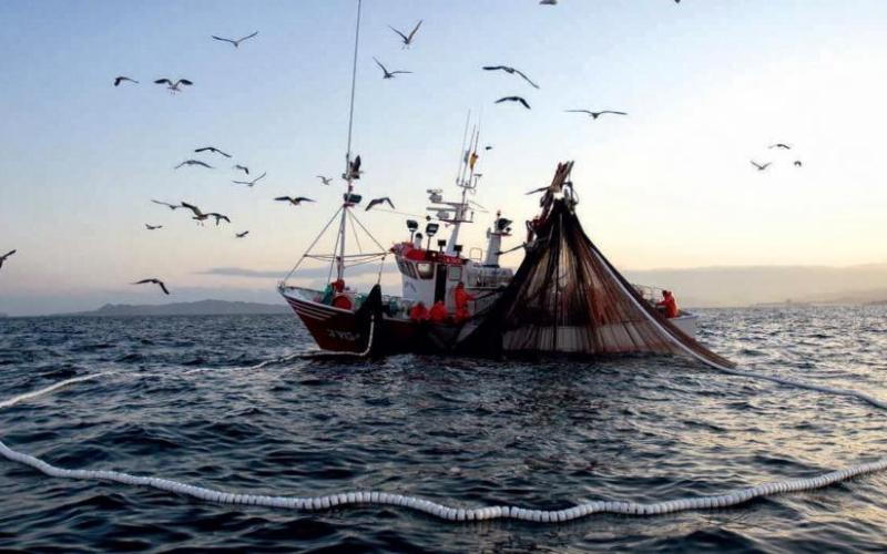 PJ ratifica prohibición de la pesca industrial en áreas naturales protegidas