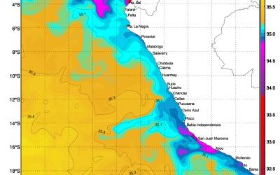 High salinity raises concerns for Peru’s anchovy industry