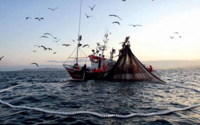 PJ ratifica prohibición de la pesca industrial en áreas naturales protegidas