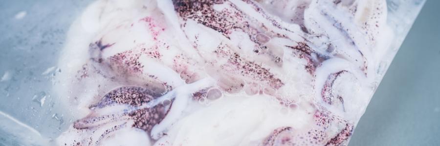 Productos del mar congelados
